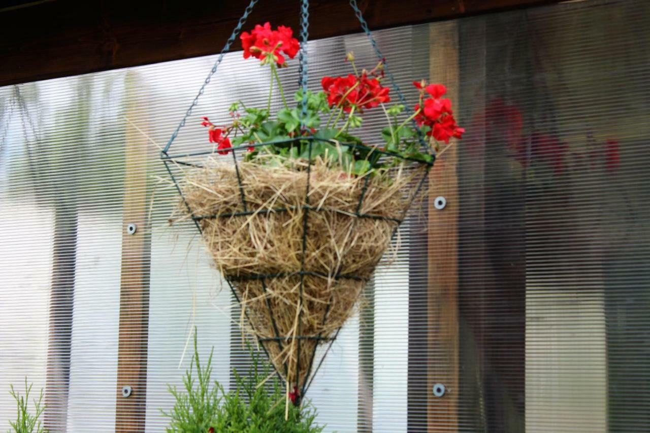 Ostoja Pod Tatrami Apartment Poronin Bagian luar foto